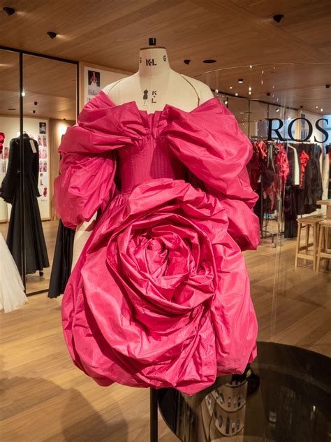 alexander mcqueen roses collection.